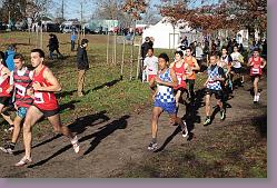 Begles 15.12.13 01 554 * 679 x 453 * (194KB)